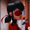 ladybug.miraculer.b