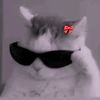selvi.napolion