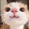 girlscute103