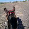 juant__033tr3