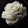 fleur.blanche159