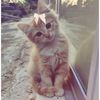 loulou10549