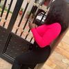 babychi172