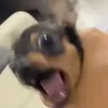 liiin0o7