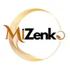 mizenko_cs3