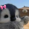 kiil0ove_30