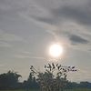 fikszz_8