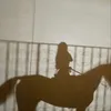 ro7qea