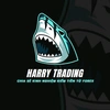 harry.trading88