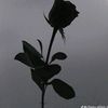 desconocido6265