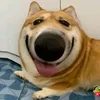 sksjsjsjja