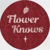 flowerknows cambodia