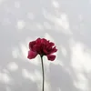 fu9385