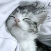 khat.phuu.wai