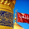 s.basit.hussaini