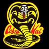 cobra_kia_fan_34