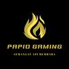 papiogaming