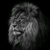 ahmed.shaher0