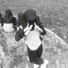widdtiayarrr