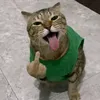 user_anomaliii