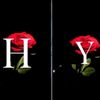 hadil_yassin00