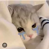 nguynthtr26