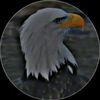 sudaiskhan47440