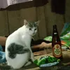 jemesparado