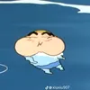 nb_chip