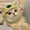 kedi_sevenler.birligi
