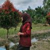 fita0488