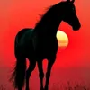 vanessa.cristiane64