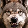 user7101888821981