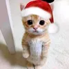 secret_rub1
