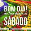 francisca.pereira8595