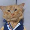 kingsimba0007