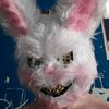 the.bunny.guy6