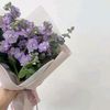 dhieera_