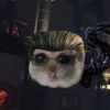 hex.slasher.simp
