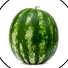 arbuzz_1