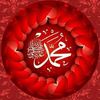 hassanamerali901