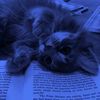 dou_658