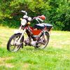 wlad8611