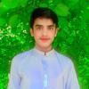 tahir.ali4425