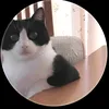 monkee91