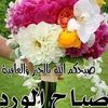 user1196612778145