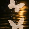 irin.balm