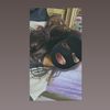 luvzz_ziyu
