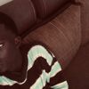 dabakh97__1