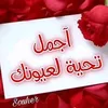 user350406163698